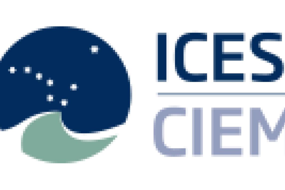 iceslogo