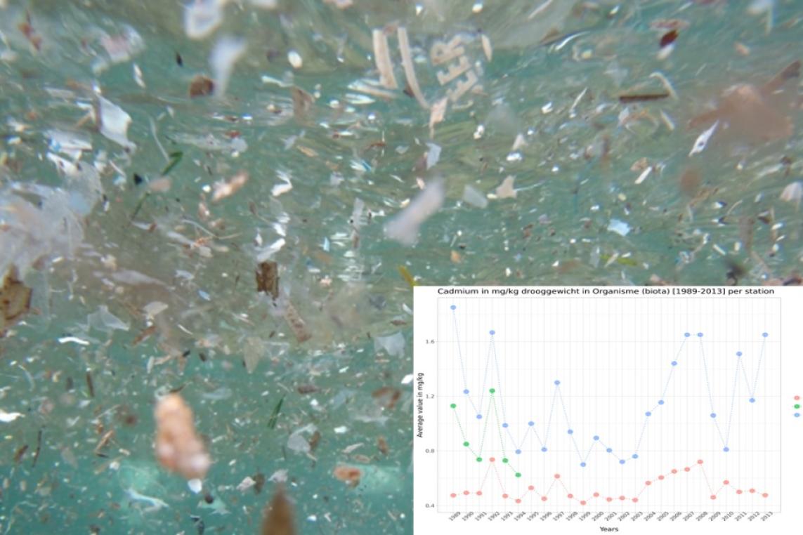 Pollutants in the Scheldt estuary