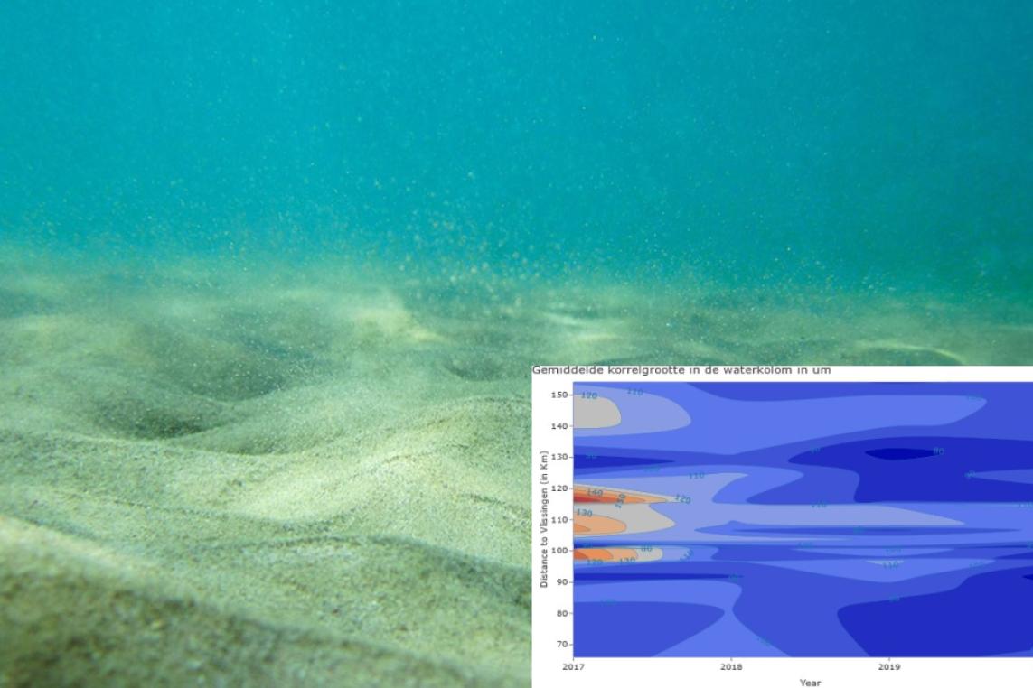 Sediments in the Scheldt estuary